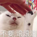 [sticker](media:AAQEABPv0aoZAATc63ZA4V8nYZpYAAIC@telegram)