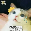 [sticker](media:AAQFAAM3AAO09asY3PiWXMez9KE00NYyAAQBAAdtAAPuMAACFgQ@telegram)