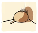 [sticker](media:AAQFAAMnAAOTK9kdWUpty9d1qpTy89QyAAQBAAdtAAPwKQACFgQ@telegram)