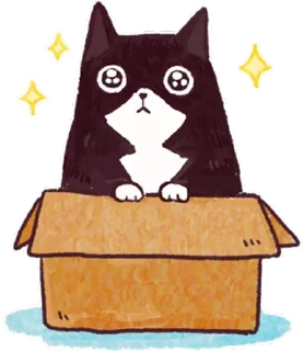 [sticker](media:AAQFAANJBgACldrcD2NfT4P9zd5Bf5H2MgAEAQAHbQADilwAAhYE@telegram)