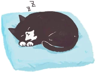 [sticker](media:AAQFAANYBgACldrcDxKk4Nl71v1LgbL2MgAEAQAHbQADnysAAhYE@telegram)