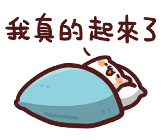 [sticker](media:AAQFAAODAAOfYlYaY-yGlI3ahUQ0_PcyAAQBAAdtAAMeAgACFgQ@telegram)