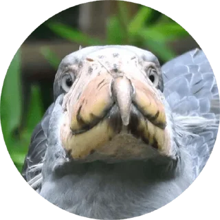 [sticker](media:AAQFAAP2AAPZLIkPlZhMoAhK_QABJOn5MgAEAQAHbQADCxIAAhYE@telegram)
