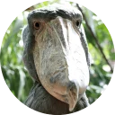 [sticker](media:AAQFAAPOAAPZLIkPDJ1VO45Y8gSrVt4yAAQBAAdtAAPyIgACFgQ@telegram)