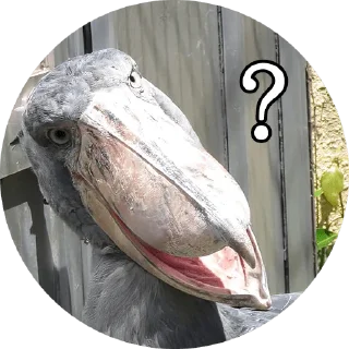 [sticker](media:AAQFAAPwAAPZLIkP0kUSKbMWGS7_1fYyAAQBAAdtAAObdQACFgQ@telegram)