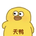 [sticker](media:AAQFABM-Ud4yAASjXHtObODMElI8AAIC@telegram)