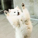 [sticker](media:AAQFABM4S9MyAAQT_EIJ24v5enEwAAIC@telegram)