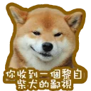 [sticker](media:AAQFABM6YsoyAATXnv05jUFHXMIZAAIC@telegram)