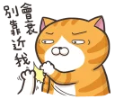 [sticker](media:AAQFABM9670yAAQcCOenFZJYyQ8nAAIC@telegram)