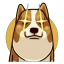 [sticker](media:AAQFABMBidMyAAQPdLfBNuhA6M8qAAIC@telegram)