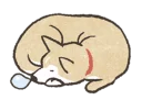 [sticker](media:AAQFABMM67EyAARHhWAAAWrn_bm9EgACAg@telegram)
