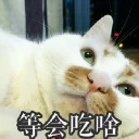 [sticker](media:AAQFABMNX9AyAARZ-G_RBrEWlGs3AAIC@telegram)