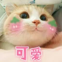 [sticker](media:AAQFABMOStUyAARQ8RWHoyh5TA5UAAIC@telegram)