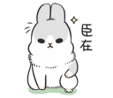 [sticker](media:AAQFABMPjb8yAAQSZcBsNMtyZKoHAAIC@telegram)