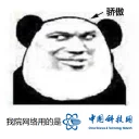 [sticker](media:AAQFABMRWNMyAATBCkHPeAPluaYiAAIC@telegram)