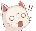 [sticker](media:AAQFABMRtrMyAASBMcqybFVFug0yAAIC@telegram)