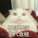 [sticker](media:AAQFABMSl8oyAATtAwIcXAVE1ldPAAIC@telegram)