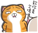 [sticker](media:AAQFABMVt7MyAAT8Ct6SP1GB1SsJAAIC@telegram)