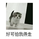 [sticker](media:AAQFABMbbcoyAAQHu4FOXG9f3CdOAAIC@telegram)