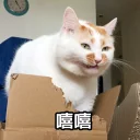 [sticker](media:AAQFABMcp9AyAAS0TslN60Vd0MEpAAIC@telegram)