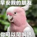 [sticker](media:AAQFABMdy9QyAATxxVQJX33CKiQrAAIC@telegram)