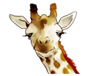 [sticker](media:AAQFABMfD8oyAASTyqP2uV3yGzUSAAIC@telegram)