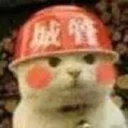 [sticker](media:AAQFABMh0NYyAATmEyS4w5pqxREbAAIC@telegram)