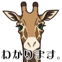 [sticker](media:AAQFABMoBNsyAAQYac1tVsUJdEgsAAIC@telegram)