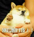 [sticker](media:AAQFABMqktAyAAR3qB09rnn9YwcWAAIC@telegram)