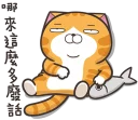 [sticker](media:AAQFABN1nsoyAASGjh_g5x-_wg1JAAIC@telegram)