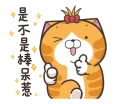 [sticker](media:AAQFABN3dNAyAAQaK4qRi4nAH8MEAAIC@telegram)