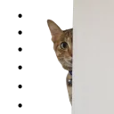 [sticker](media:AAQFABN6TNYyAARHFz4eXPFH03AHAAIC@telegram)