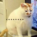 [sticker](media:AAQFABN7btAyAATAaN3Ib_rQsZIBAAIC@telegram)