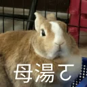 [sticker](media:AAQFABN8L9MyAAR6r56gdCPUQBcYAAIC@telegram)