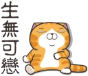 [sticker](media:AAQFABNCNtAyAAStOelfo8rhdis4AAIC@telegram)