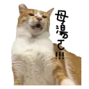 [sticker](media:AAQFABNCx9MyAAR-kQSy2JjuRU8-AAIC@telegram)