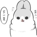 [sticker](media:AAQFABNDDsoyAASW4KP0kOQ4ci09AAIC@telegram)