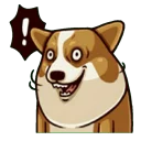 [sticker](media:AAQFABNFftMyAATPa9cnPd9CJR0wAAIC@telegram)