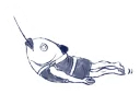 [sticker](media:AAQFABNKDsoyAARWpxM5EnjKJ00UAAIC@telegram)