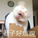 [sticker](media:AAQFABNLd9AyAAQ66U27hLtF02k1AAIC@telegram)