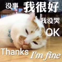 [sticker](media:AAQFABNLw8syAASgfVKFgW_MFCAzAAIC@telegram)