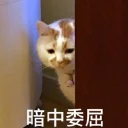 [sticker](media:AAQFABNMbNAyAATxAAGkBg_fDMBWNQACAg@telegram)