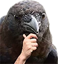 [sticker](media:AAQFABNNjcoyAAQ1qVvZy-FyWI0IAAIC@telegram)