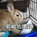 [sticker](media:AAQFABNWNMoyAAQH5IB6IJSqx8VXAgABAg@telegram)