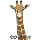 [sticker](media:AAQFABNX99oyAATvkiEswLS5szMlAAIC@telegram)