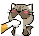 [sticker](media:AAQFABNXIL4yAATJAAHuHnOTd-Q7JgACAg@telegram)