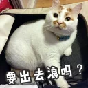 [sticker](media:AAQFABNXU9AyAATq-WNdAxou0XQ_AAIC@telegram)