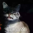 [sticker](media:AAQFABNZbcoyAATvEKiqJo5CdvQNAAIC@telegram)