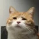 [sticker](media:AAQFABNjedMyAATWZMwJfVQTNY84AAIC@telegram)