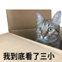 [sticker](media:AAQFABNkf9YyAASHeB7qxpICiukIAAIC@telegram)